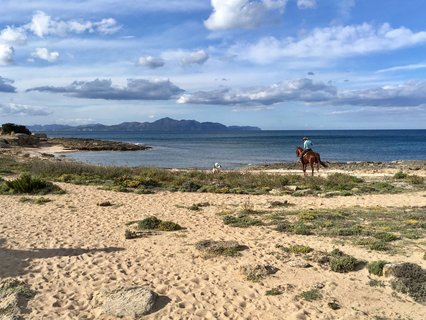 Genießen Sie die weiten Blicke beim Reiten auf Mallorca 