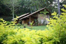 Eingebettet in das zarte Grün der Umgebung liegen Zimmer der Kategorie Bamboo Hut Eingebettet in das zarte Grün der Umgebung liegen Zimmer der Kategorie Bamboo Hut