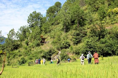 Leichte Wanderung bis zur Stupa