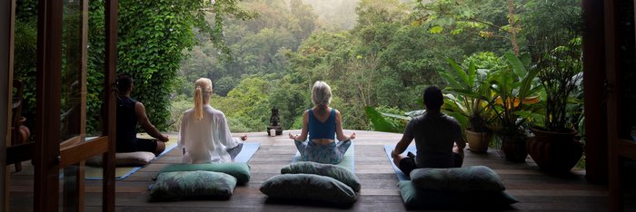 Bei einer Meditation der Stille des Waldes lauschen
