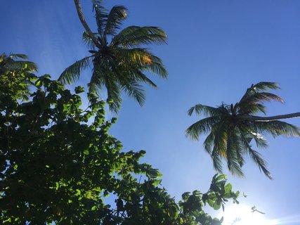 Trotz des Monsuns strahlt die Sonne kräftig am hellblauen Himmel 