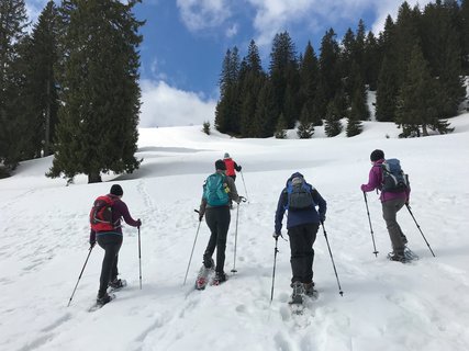 Sportlich aktiv werden die Gäste beim Schneeschuhwandern während ihres Yoga Urlaubs