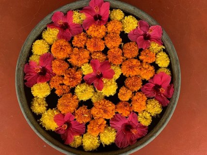 Eine bunte Pflanzenlandschaft erwartet Sie in Indien