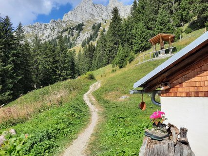 Saftige Bergwiesen und einen eindrucksvoller Blick auf die Lechtaler Alpen