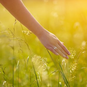 Eine Frau geht durch ein Feld und streift dabei die Pflanzen mit ihrer Hand