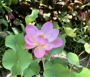 Wohltuende Reise nach Bali