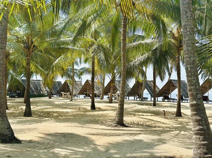 Strand mit Palmen