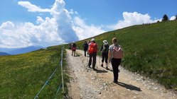 Genießen Sie die Ruhe der Natur bei einer Wanderung durch die Berge