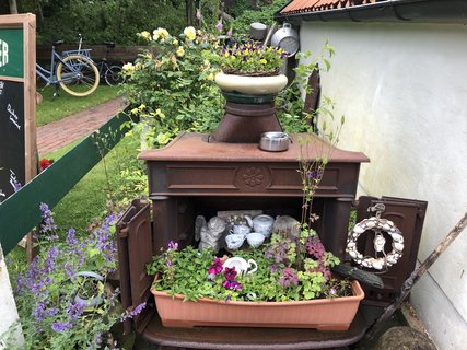Schöne Blumen