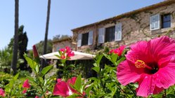yoga-urlaub-spanien-mallorca-finca-son-mola-vell-haus-blumen Hier können auch Sie einfach mal entspannen