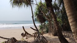 ayurveda-kur-sri-lanka-surya-lanka-strand Lauschen Sie dem Wellenrauschen