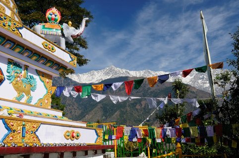 Buddhismus kultur dharamsala