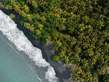 Ein Strand mit Palmen grenzt an en weiten Ozean