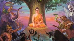 Nordindien Spuren des BuddhaBuddha Steps.jpg