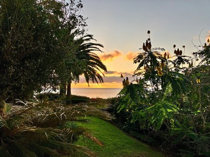 Den Sonnenuntergang auf Madeira genießen