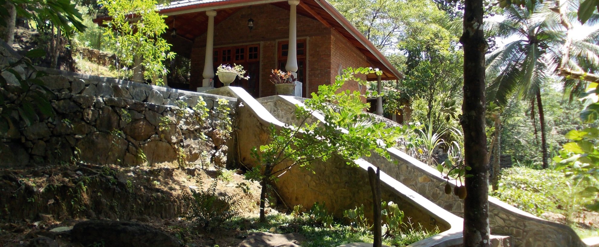 Sri Lanka Yoga Singharaja Garden ECO Lodge Anlage Hotel