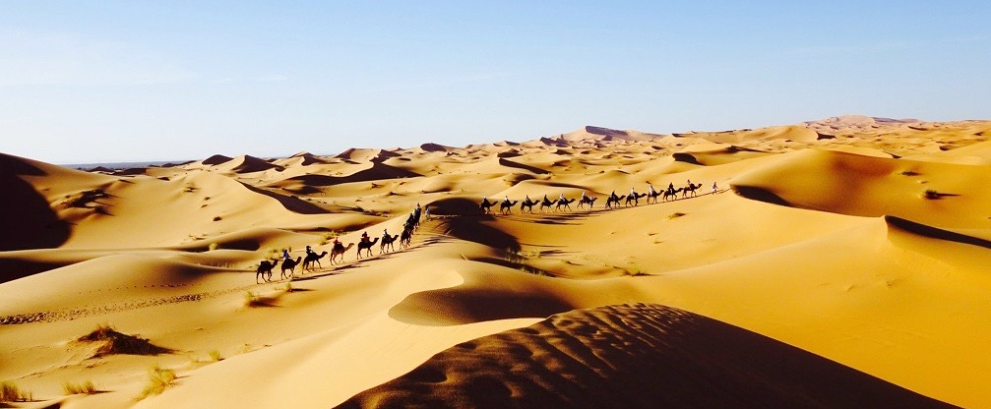 Sahara Wüste Marokko Kamele
