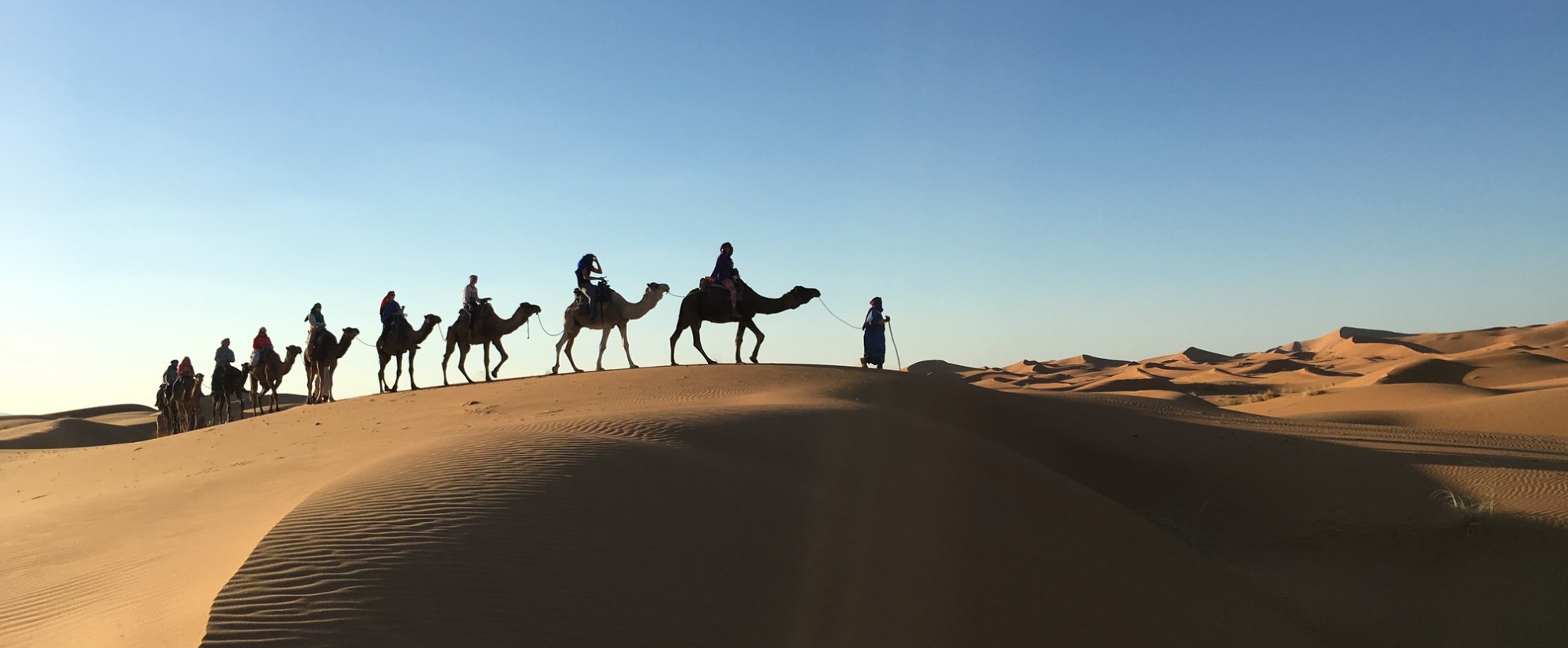 Sahara Wüste Marokko Kamele