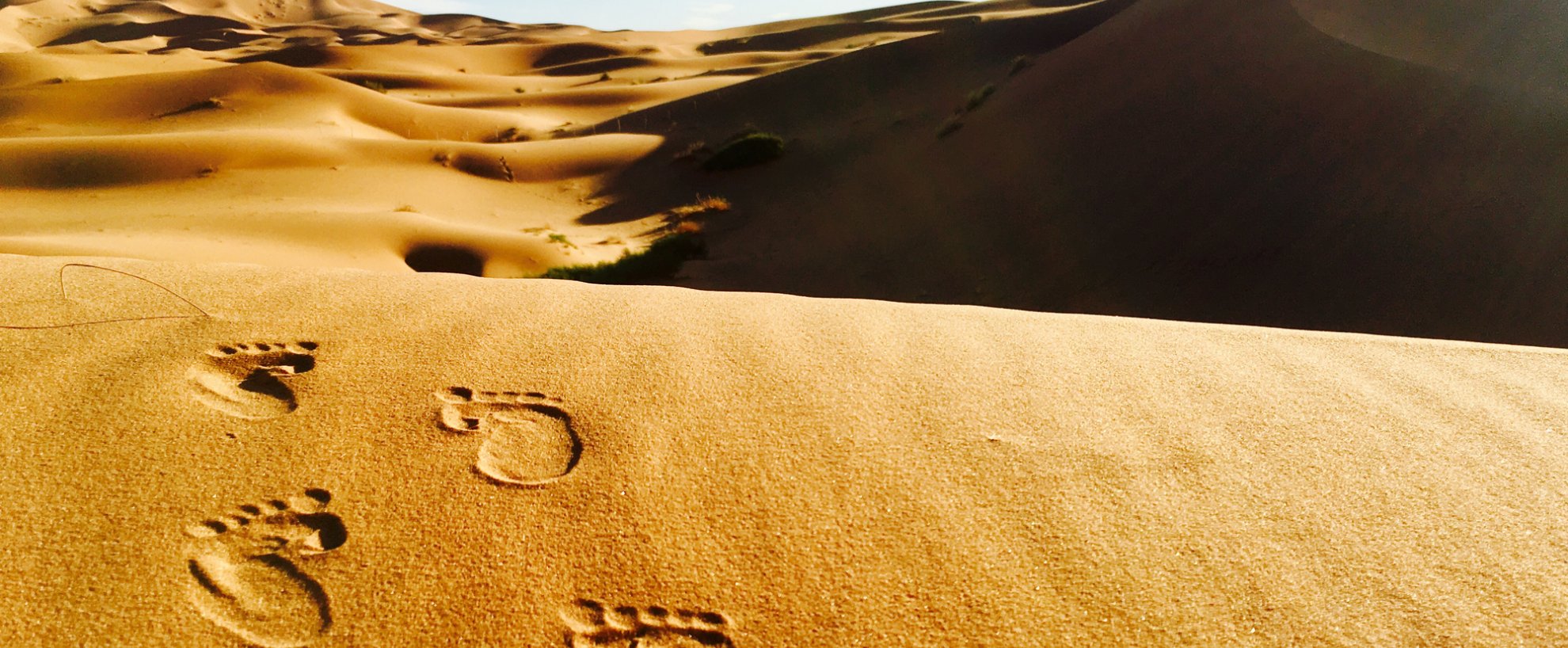 Sahara Wüste Marokko