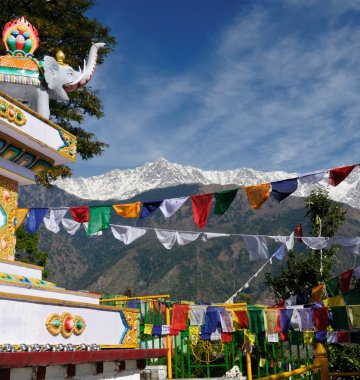 Buddhismus kultur dharamsala