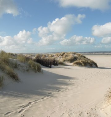 Der breite und lange Sandstrand auf Baltrum lädt zu ausgiebigen Strandspaziergängen ein