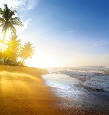 Spazieren Sie am Strand auf Sri Lanka entlang von Palmen und rauschenden Wellen