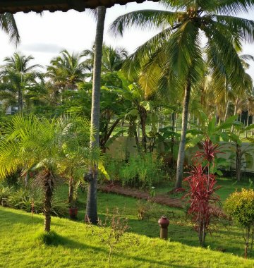 Das Meiveda Ayurveda Resort liegt inmitten eines tropischen Gartens
